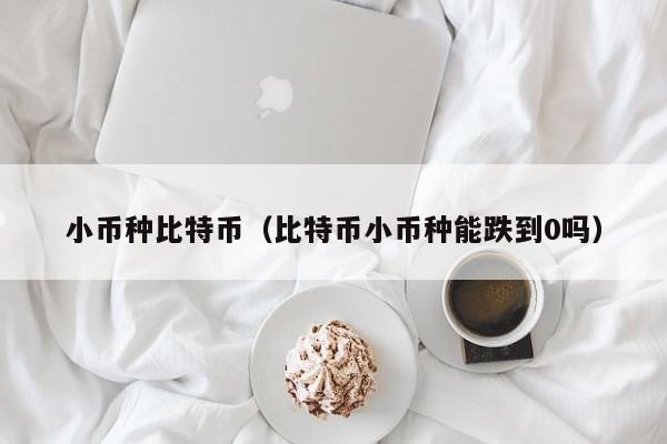 小币种比特币(比特币小币种能跌到0吗)