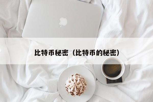 比特币秘密(比特币的秘密)