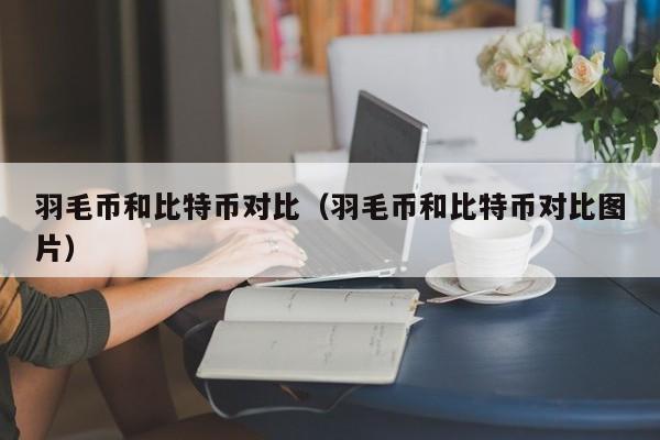 羽毛币和比特币对比(羽毛币和比特币对比图片)